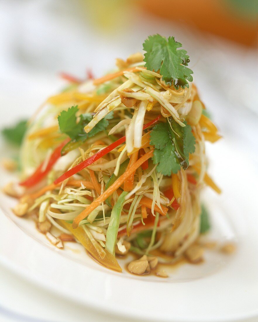Asian cabbage salad with peanuts