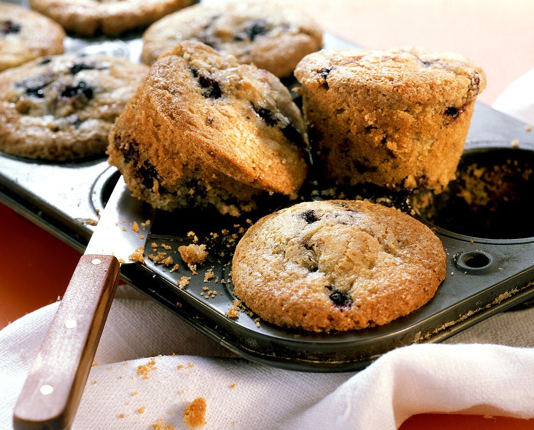 Blueberry muffin in muffin tin