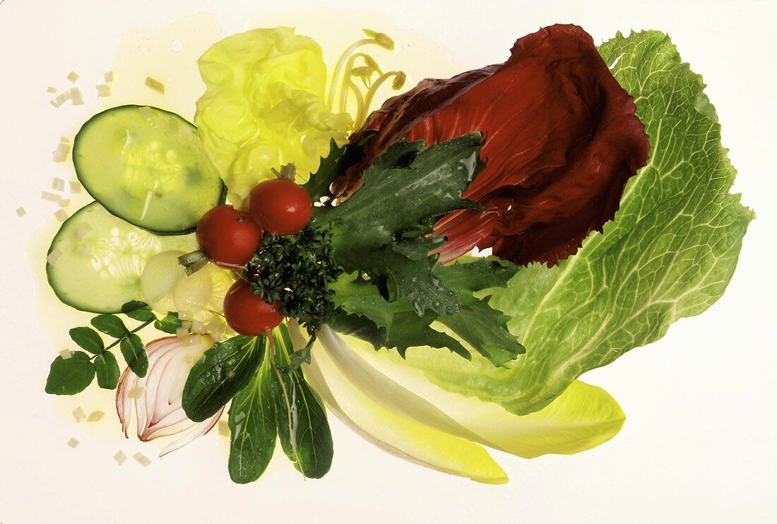 Verschiedene Salatblätter, Radieschen und Gurkenscheiben