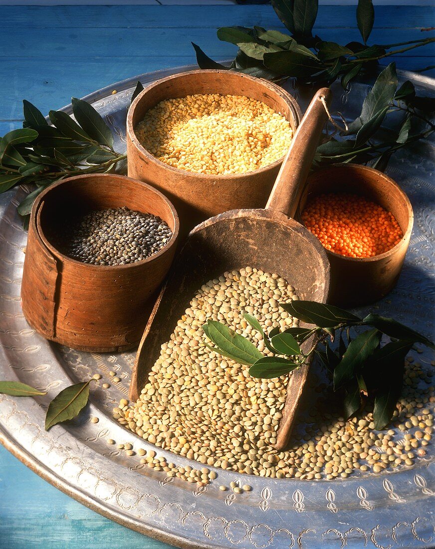 Various types of lentils in wooden bowls