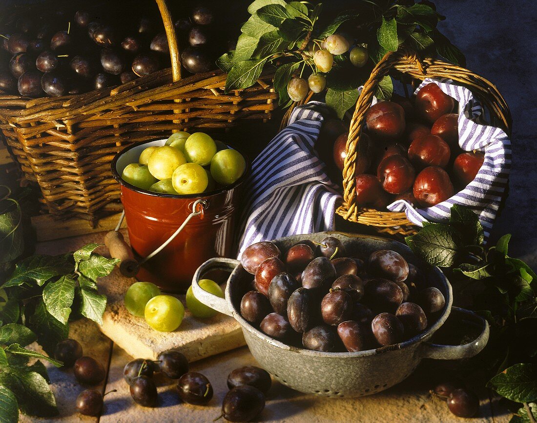 Plums in baskets and buckets