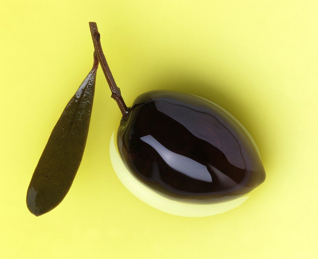 A brown olive with twig in olive oil