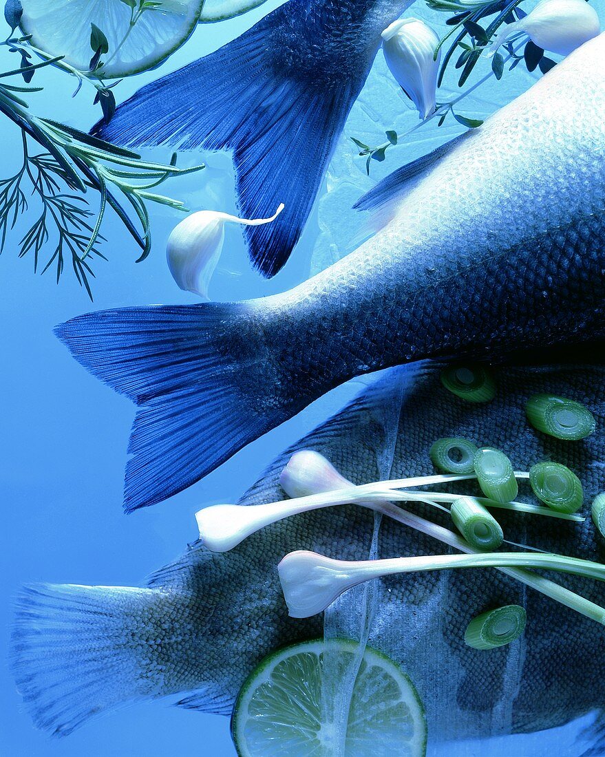 Schwanzflossen von Meerwasserfischen vor blauem Hintergrund
