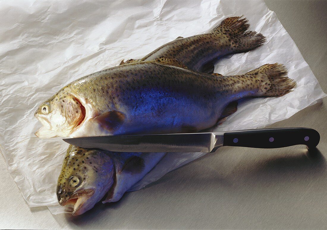Two trout on paper, with knife beside them