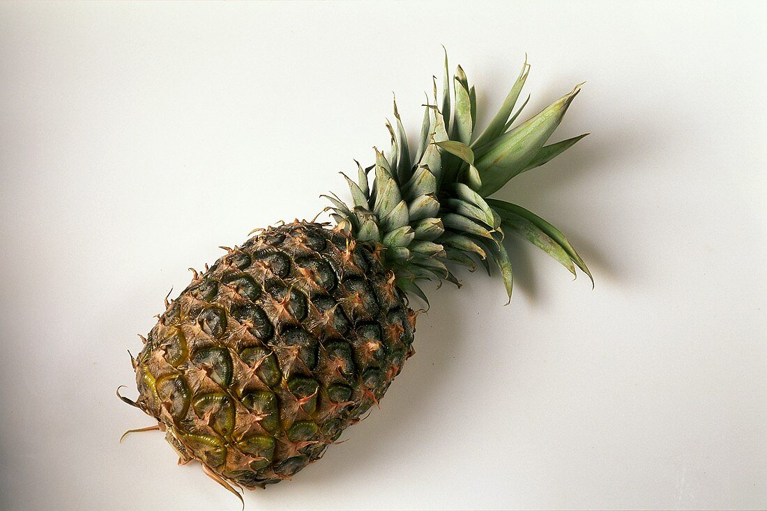 A pineapple