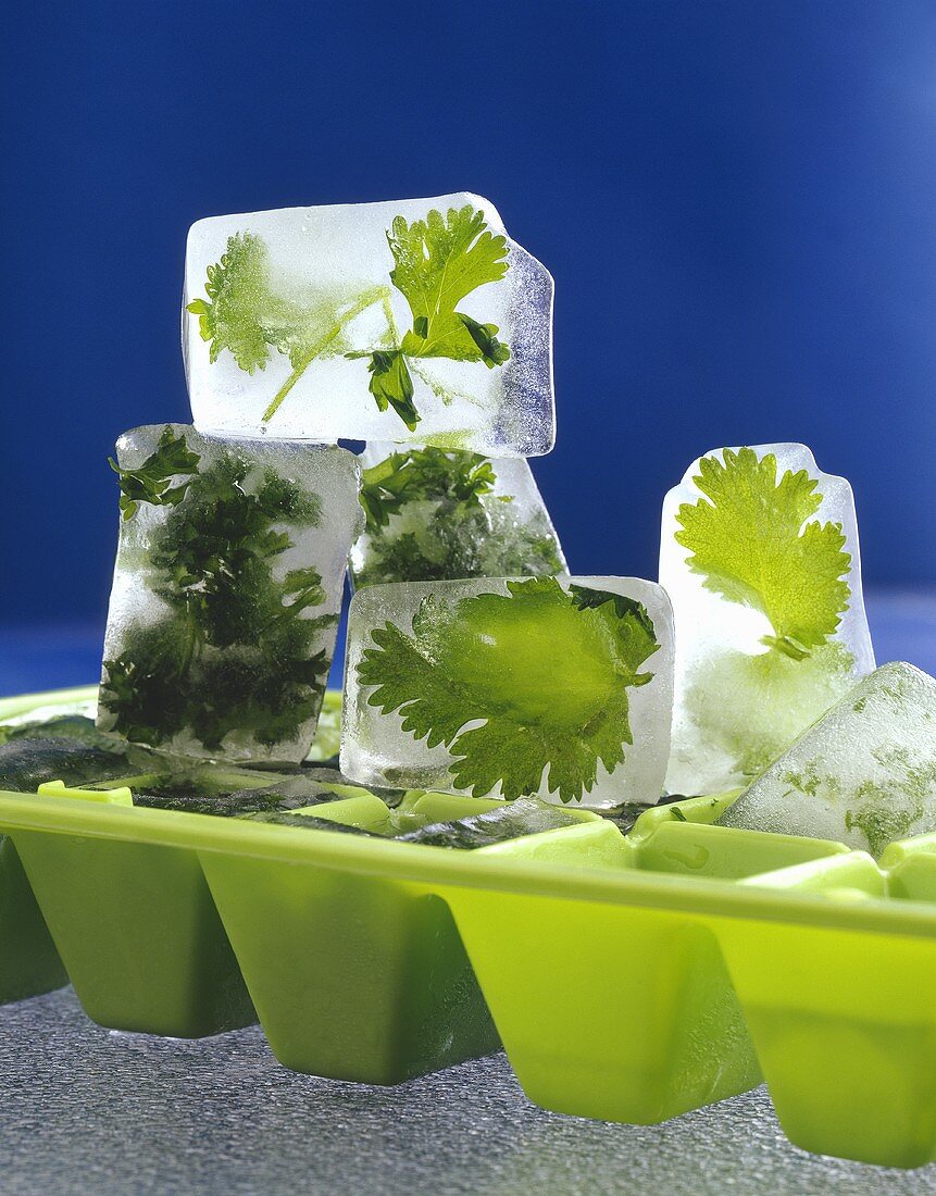 Parsley Frozen in Ice Cubes