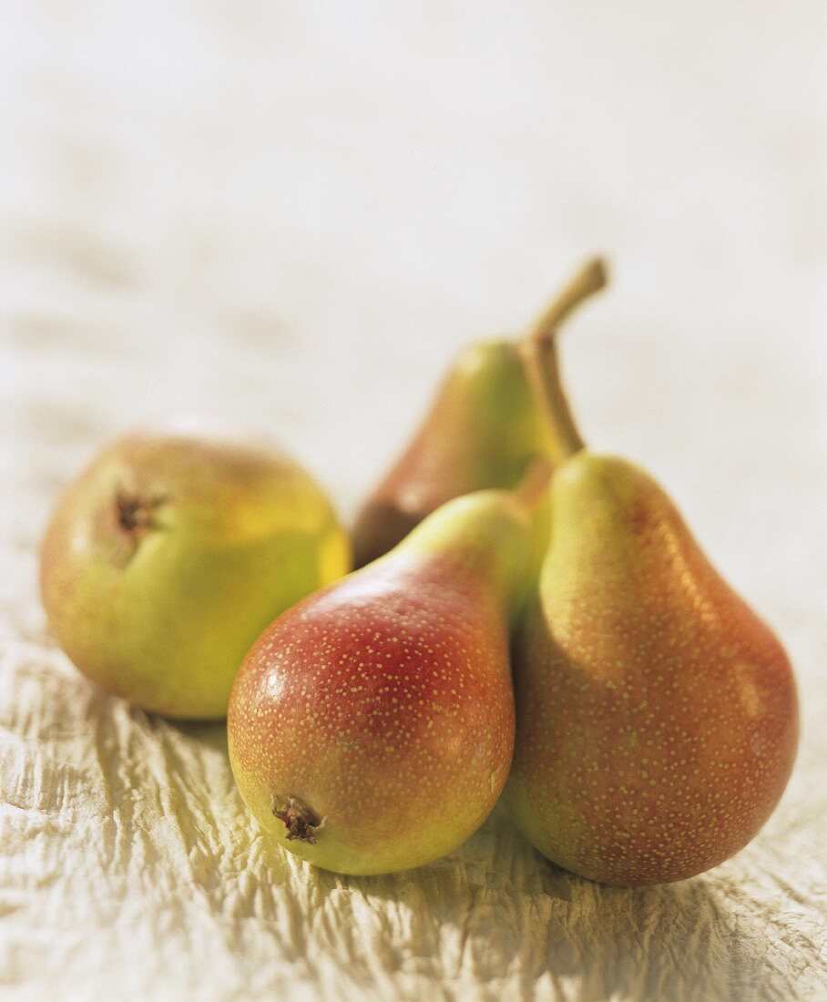 Ripe pears on decorative plaster surface