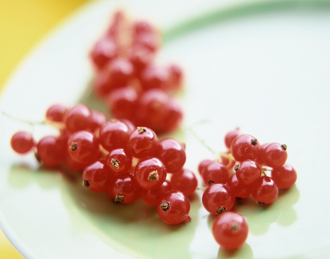 Red Currants