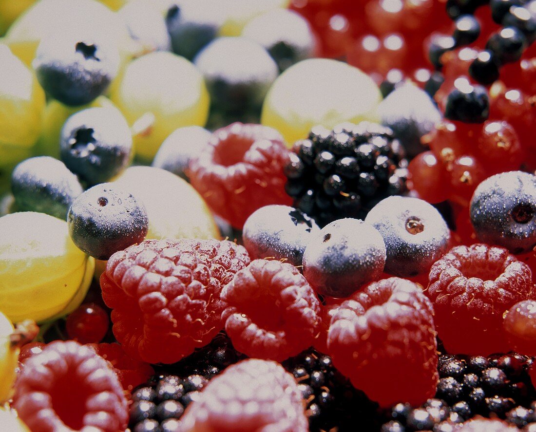 Several Types of Berries