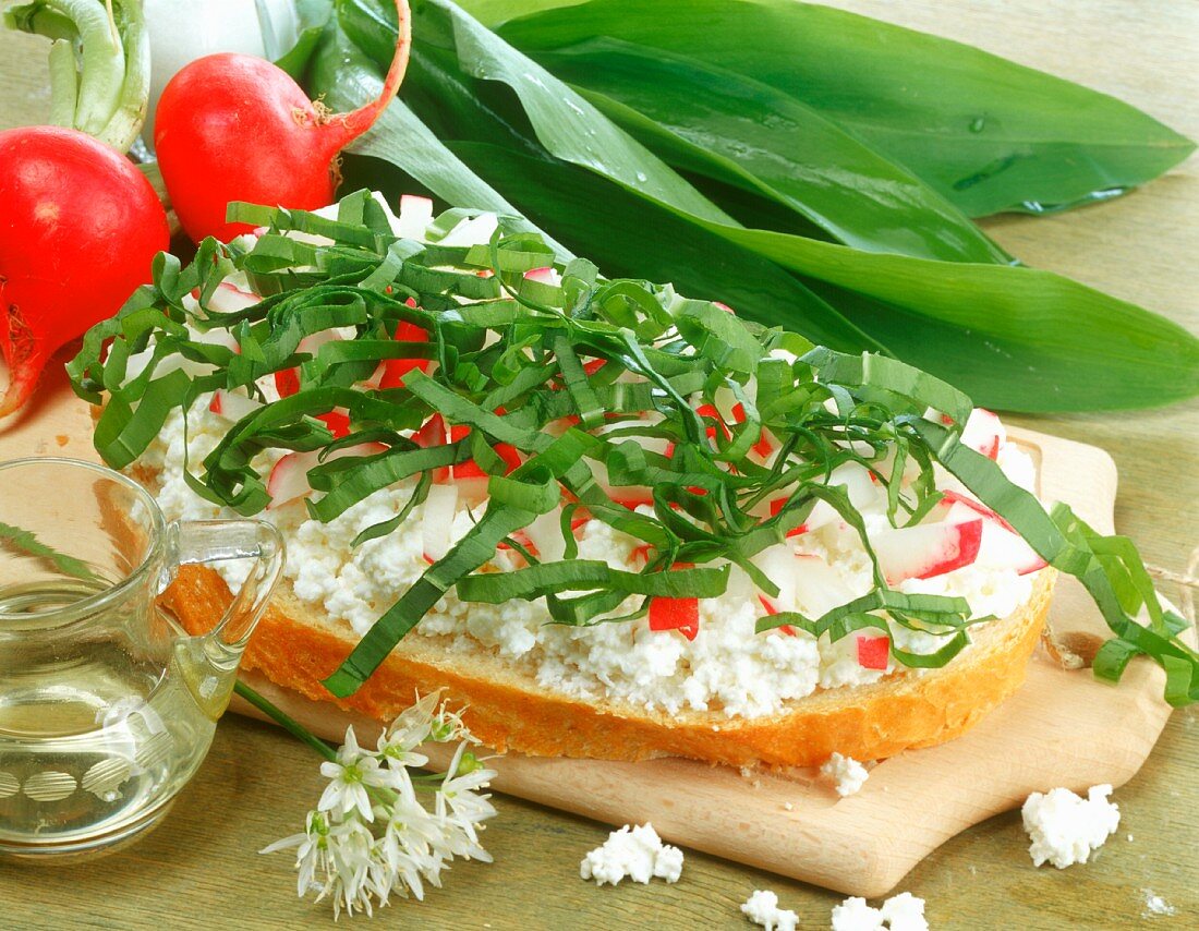 Sandwich with quark, radishes and ramsons (wild garlic)