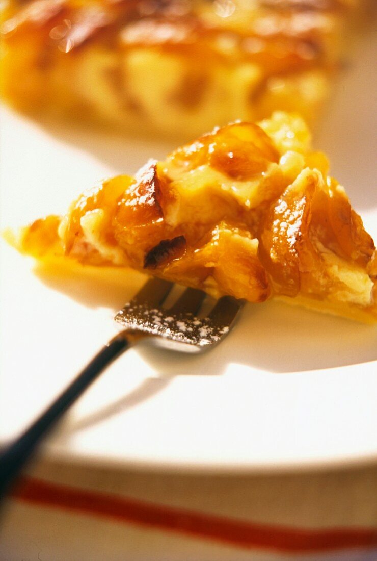 A piece of mirabelle tart from Alsace