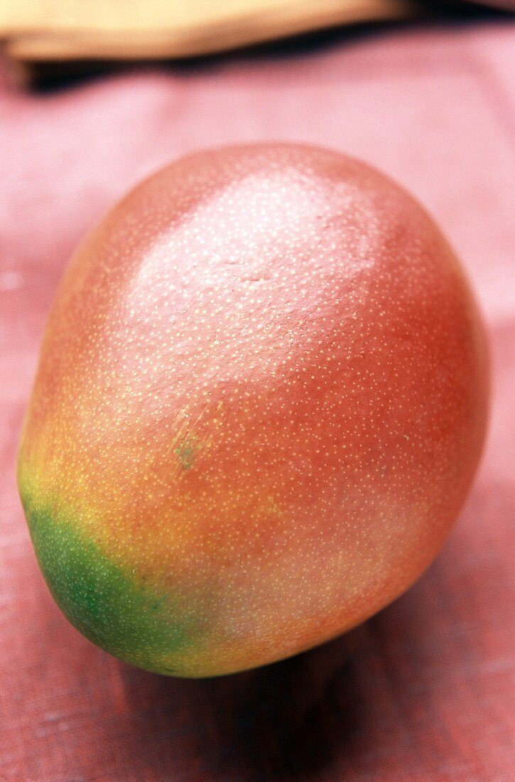 A mango on a red background
