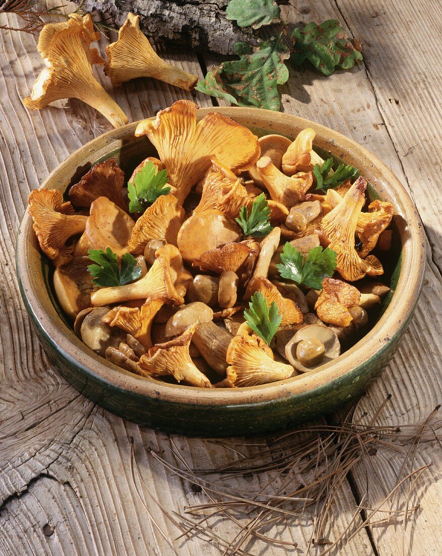 Mushroom stir-fry with chanterelles and ceps