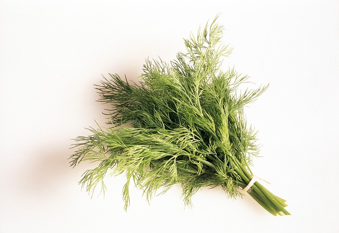 Bunch of Dill