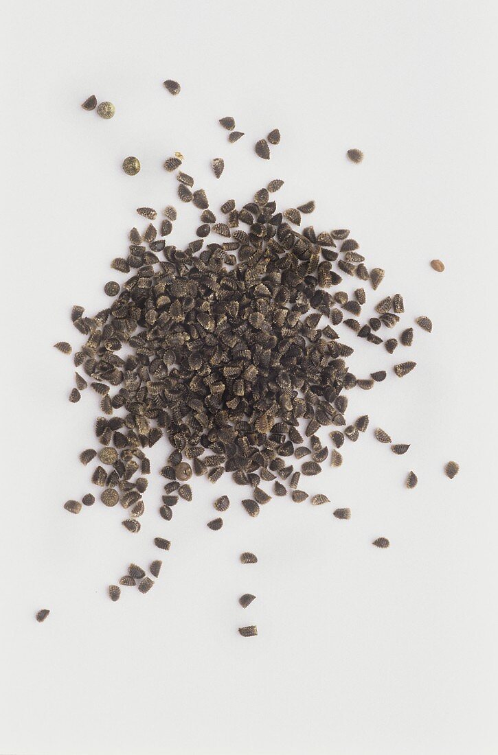 Larkspur seeds (Delphinium consolida)