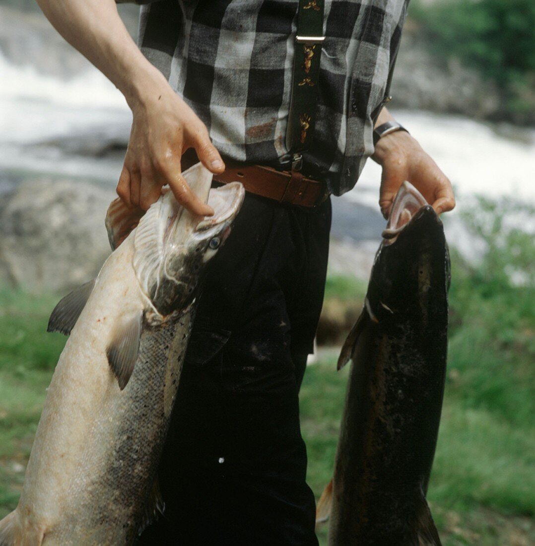 Fisherman with two salmon