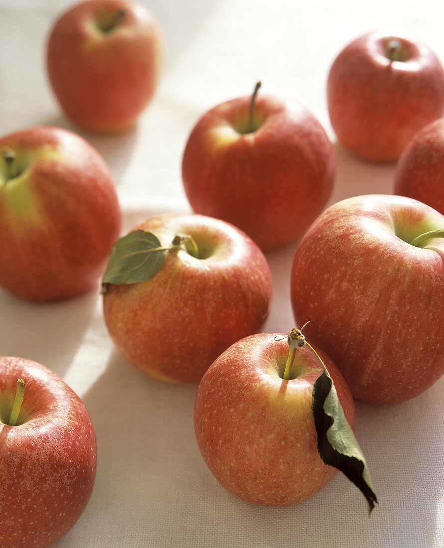Rote Äpfel (Royal Gala)
