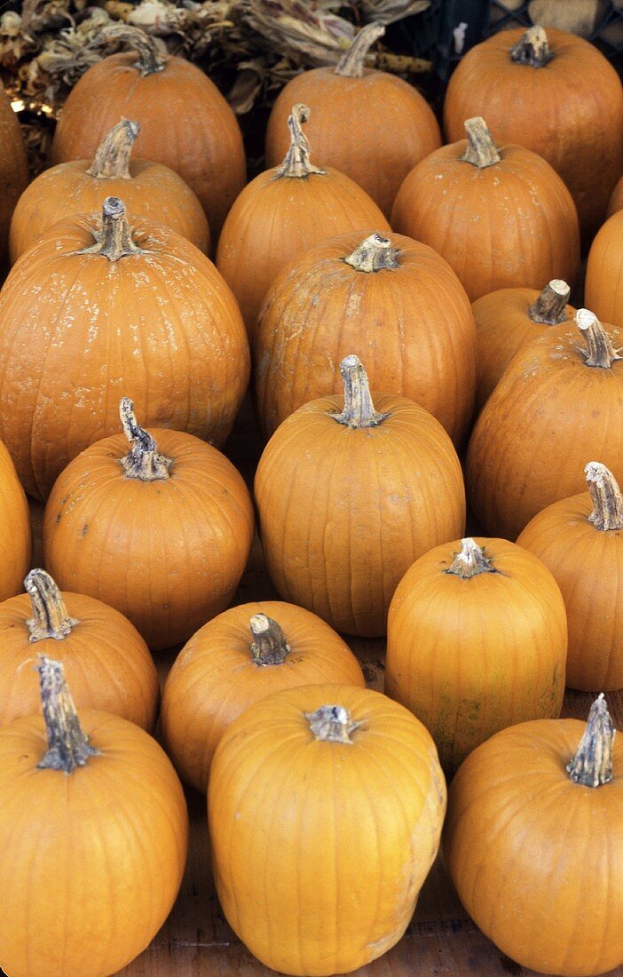 Orange pumpkins