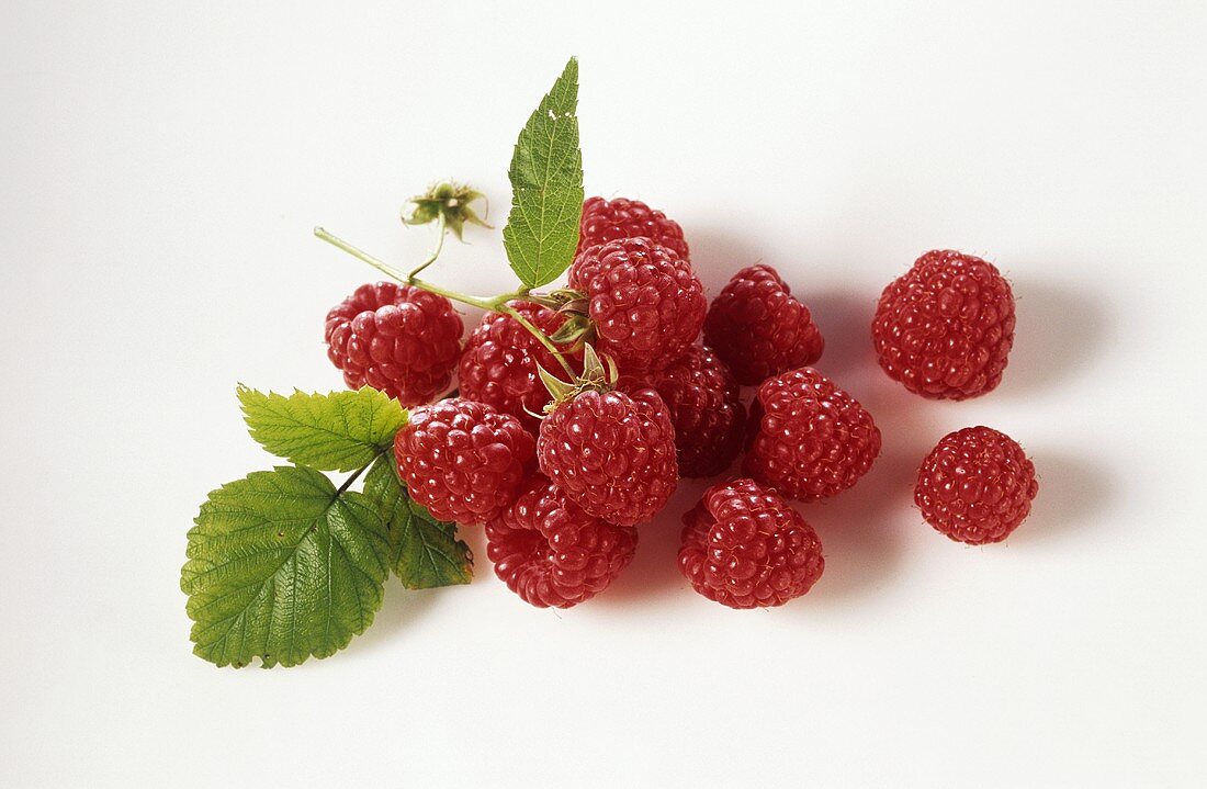 Himbeeren mit Blatt