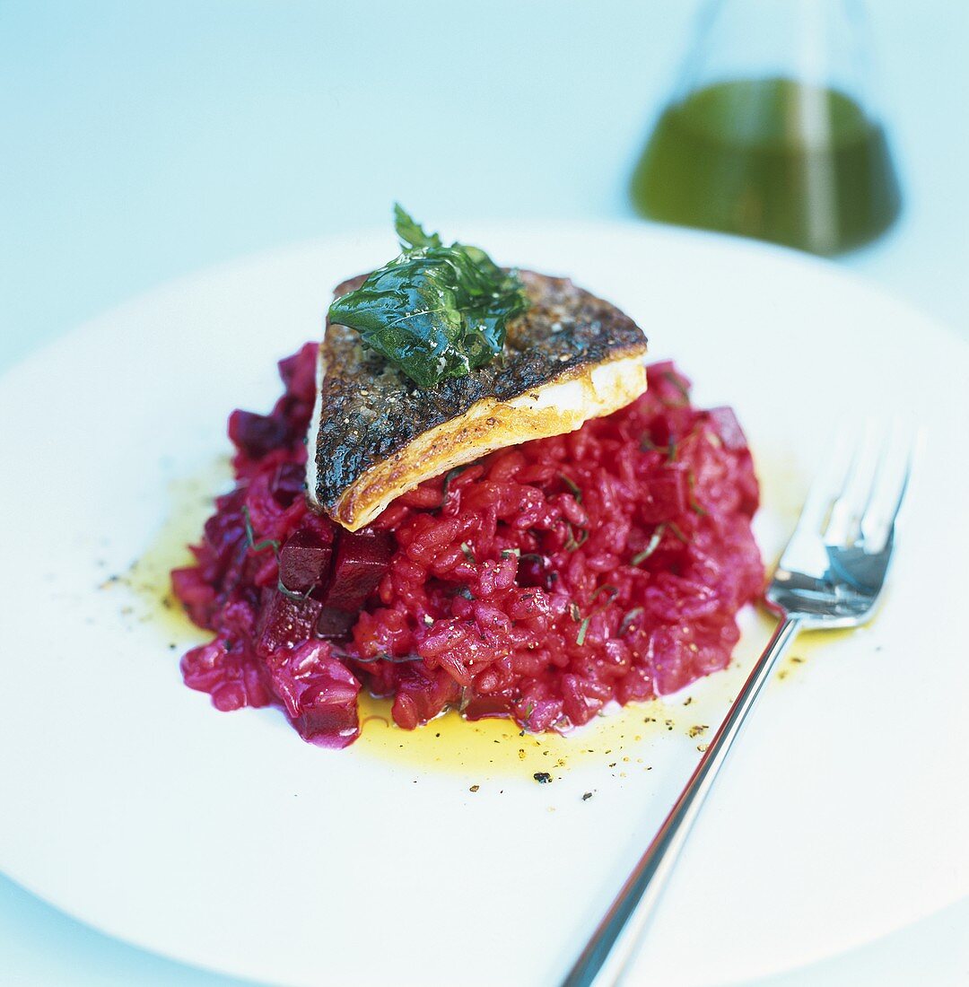 Pike-perch on beetroot