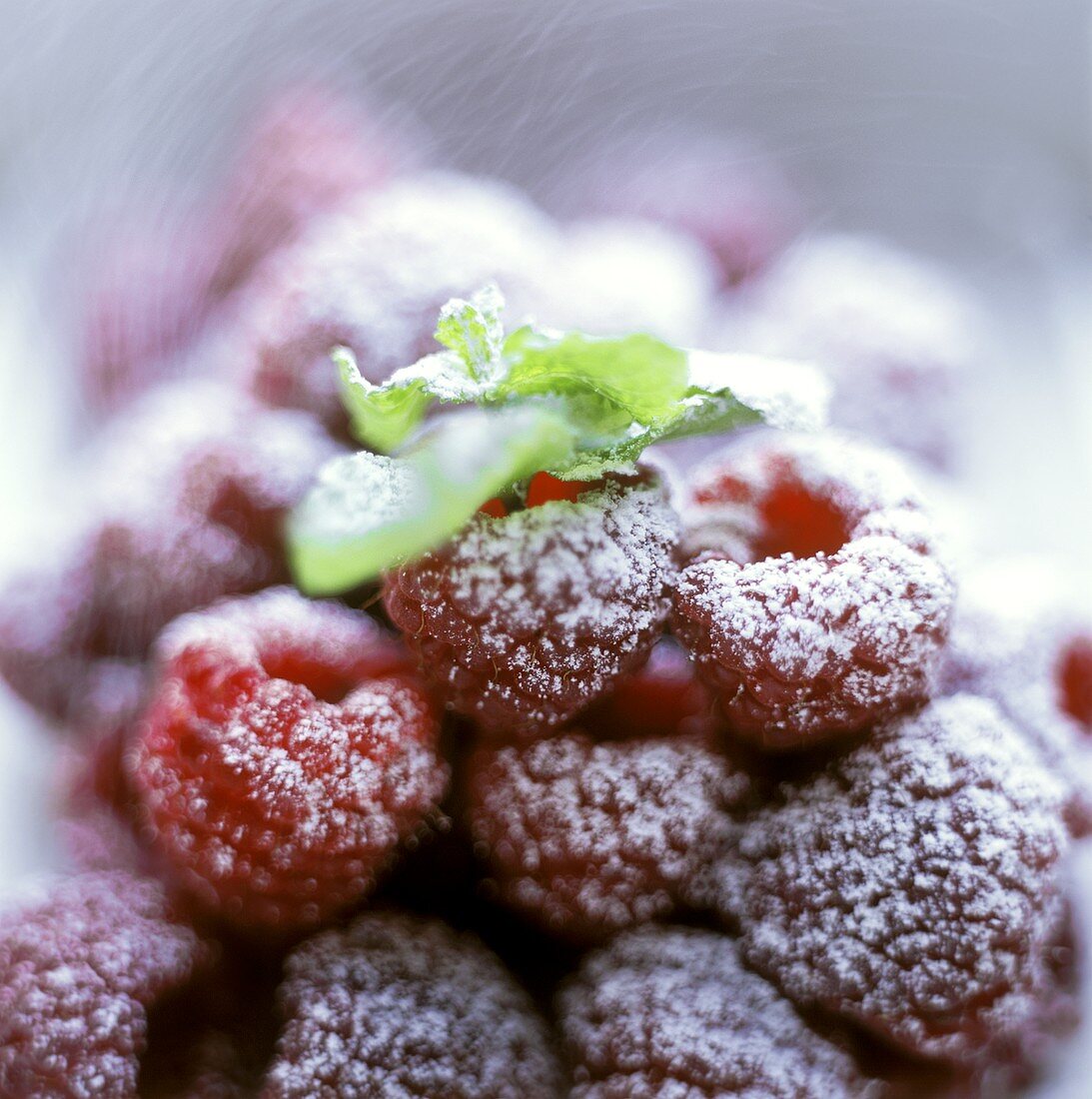 Sugared raspberries