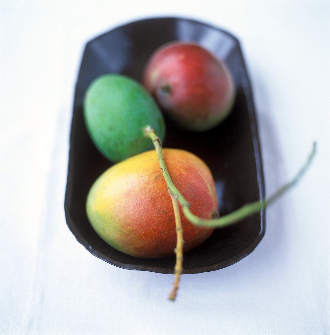 Verschiedene Mangos