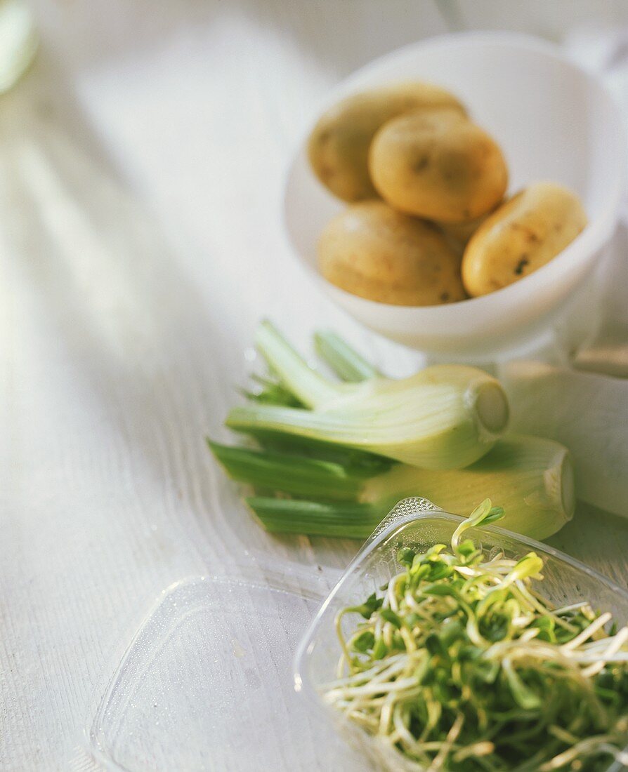 Still life with cress, fennel and potatoes