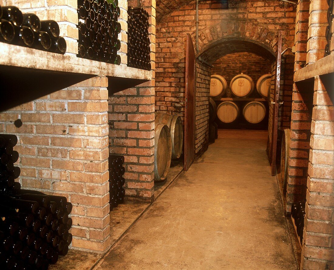 Cellar of the wine pioneer Josef Jamek (JJJ), Wachau, Austria