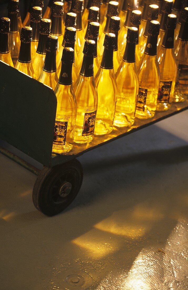Vilmart-Champagnerflaschen mit Wagen transportieren,Champagne