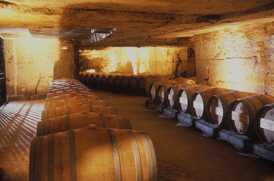 The fine wine cellar of Chateau Franc-Mayne, St. Emillion