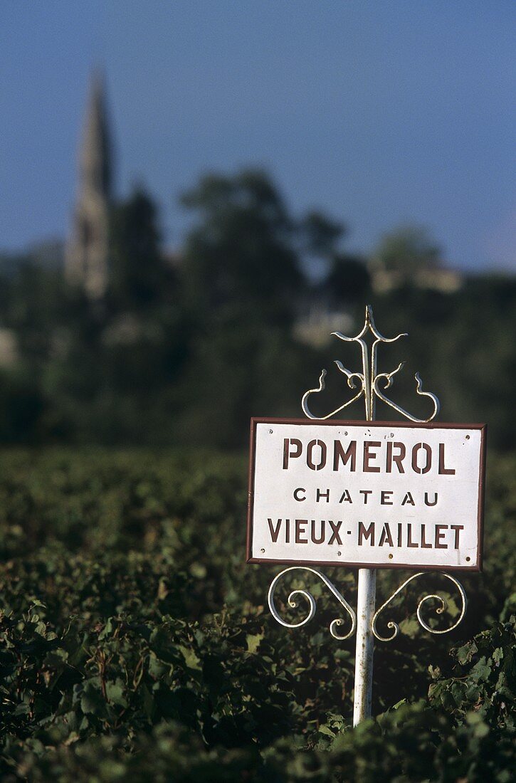 Vineyard of Chateau Vieux Maillet in Pomerol, France