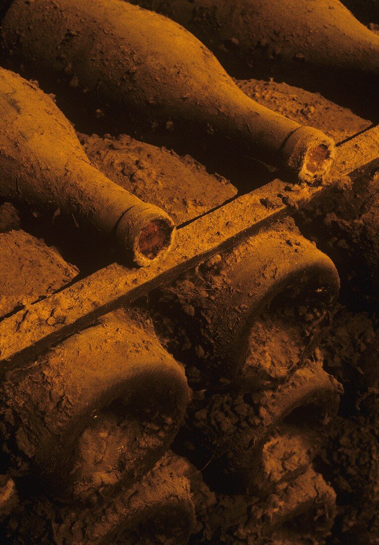 Old wine bottles laid down in Chateau de Pommard, Burgundy