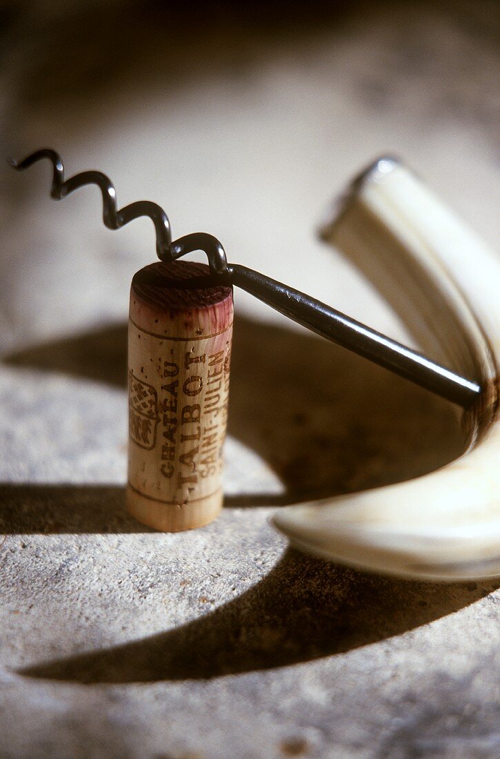 Wine cork (Chateau Talbot) with old corkscrew