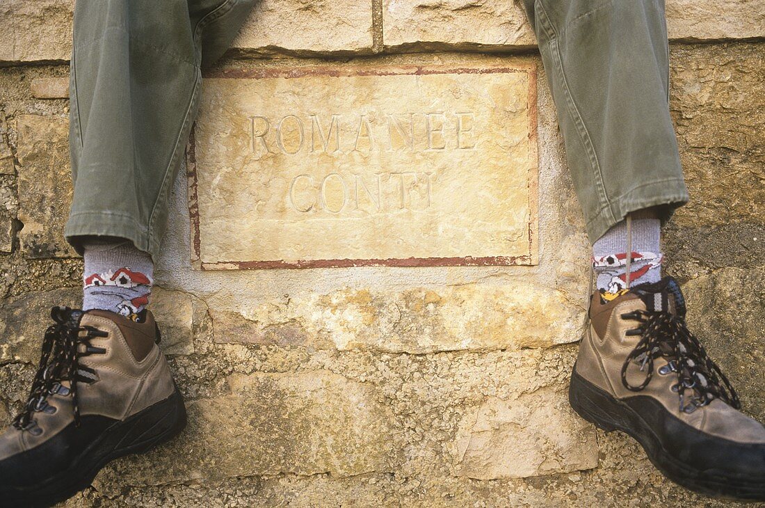 Arbeiter auf Steinmauer mit Romanee Conti Gravur, Languedoc