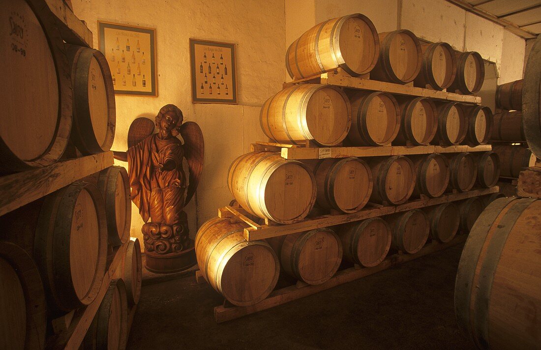 Der Top-Wein Alpha im Weinkeller von Vina Montes,Curico,Chile