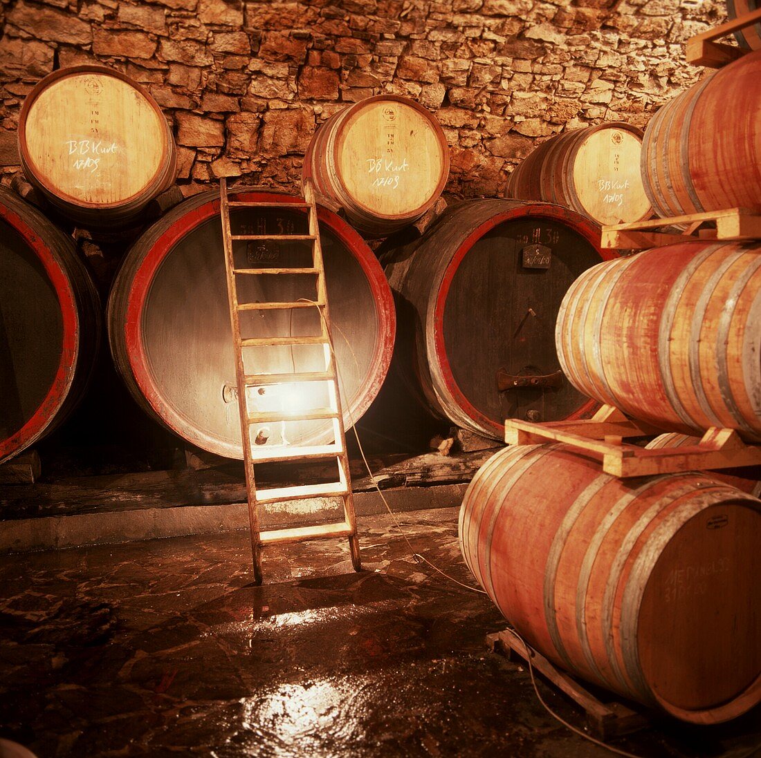 Barrique-Weinkeller in Südtirol, Italien