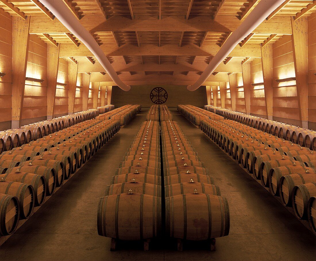 Weinkeller des Weinguts Almaviva, Maipo Valley, Chile