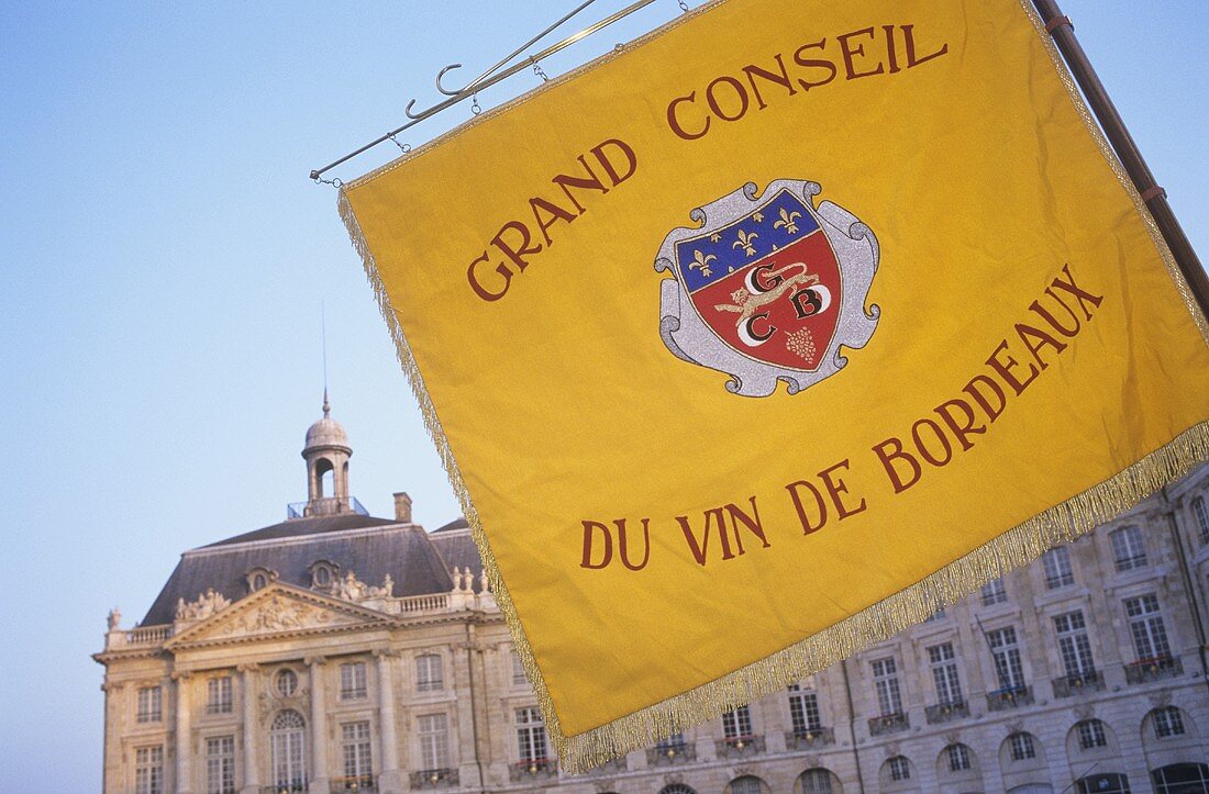 A flag at the famous wine festival in Bordeaux, France 