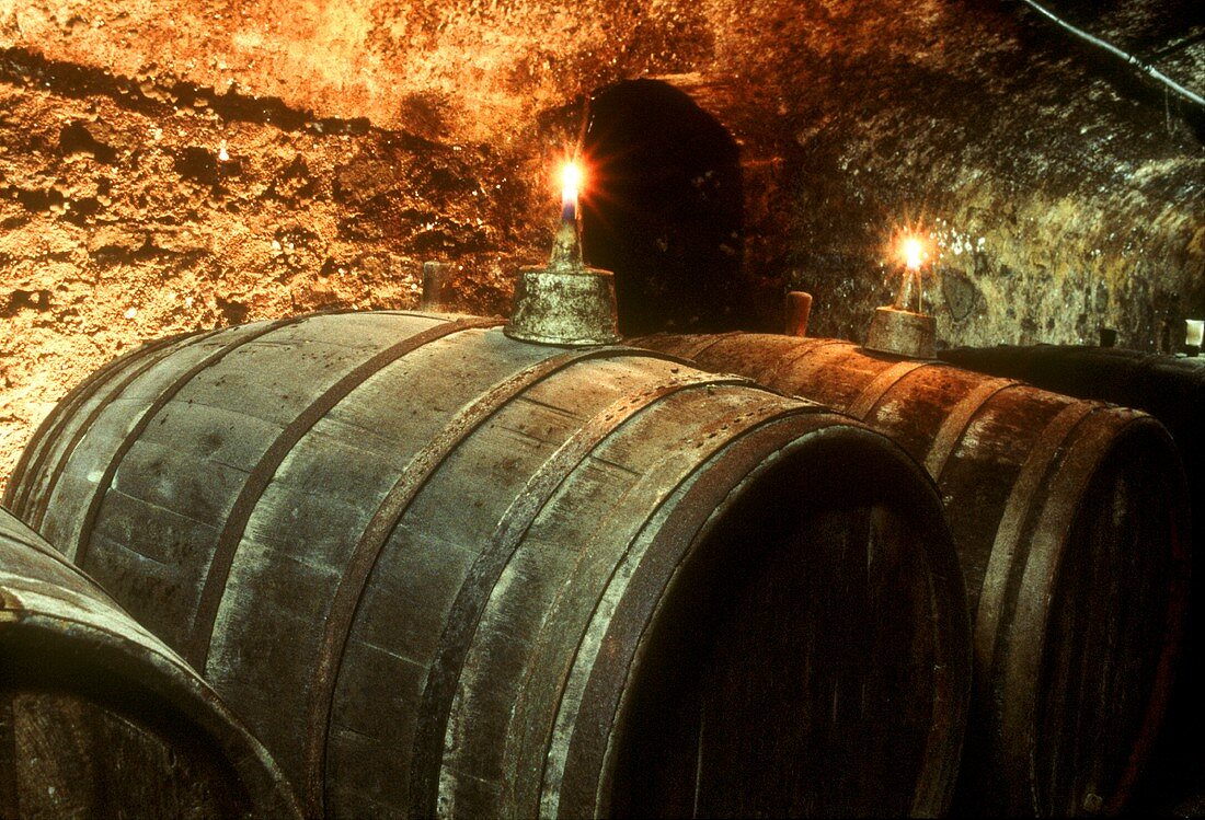 Candles on wine barrels in vaulted cellar, Winzerhof Gietzen