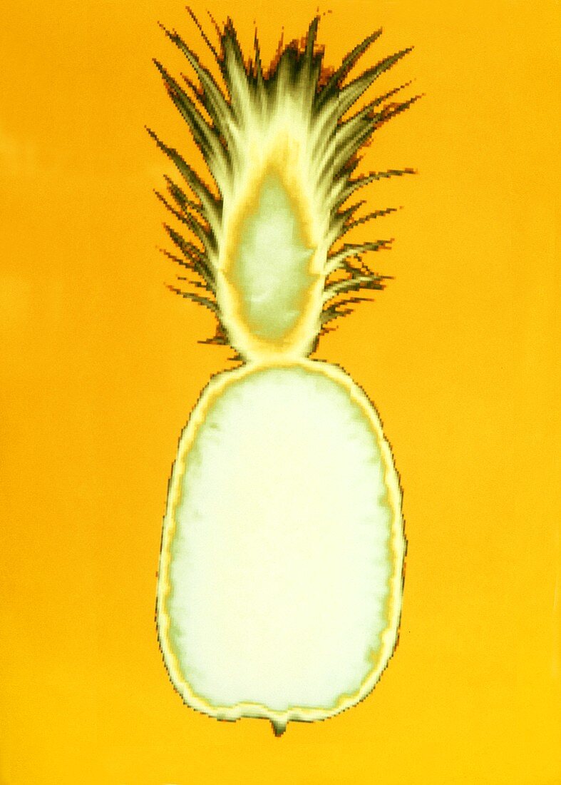 Symbolbild: Ananas