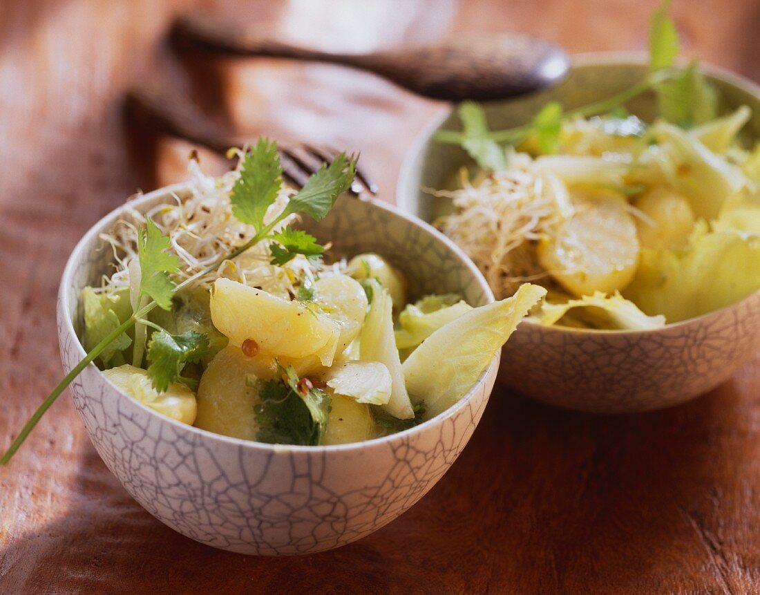 Kartoffelsalat mit Sprossen und Koriander