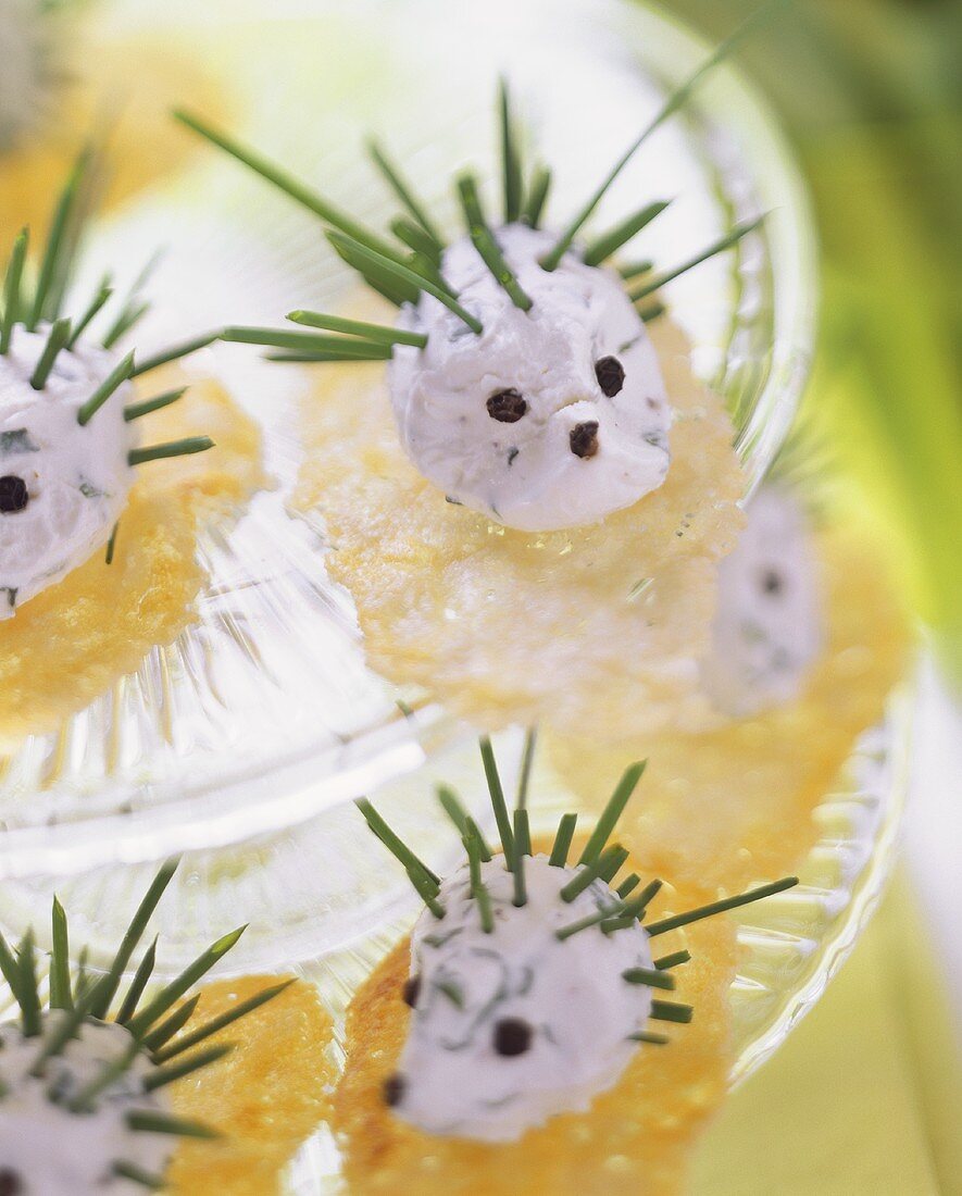 Cream cheese & chive hedgehog on fragile crackers