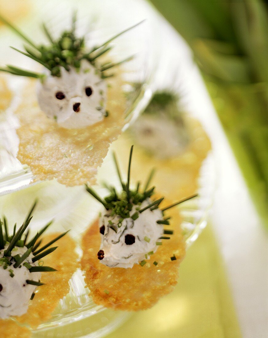 Soft cheese and chive hedgehogs on delicate crackers