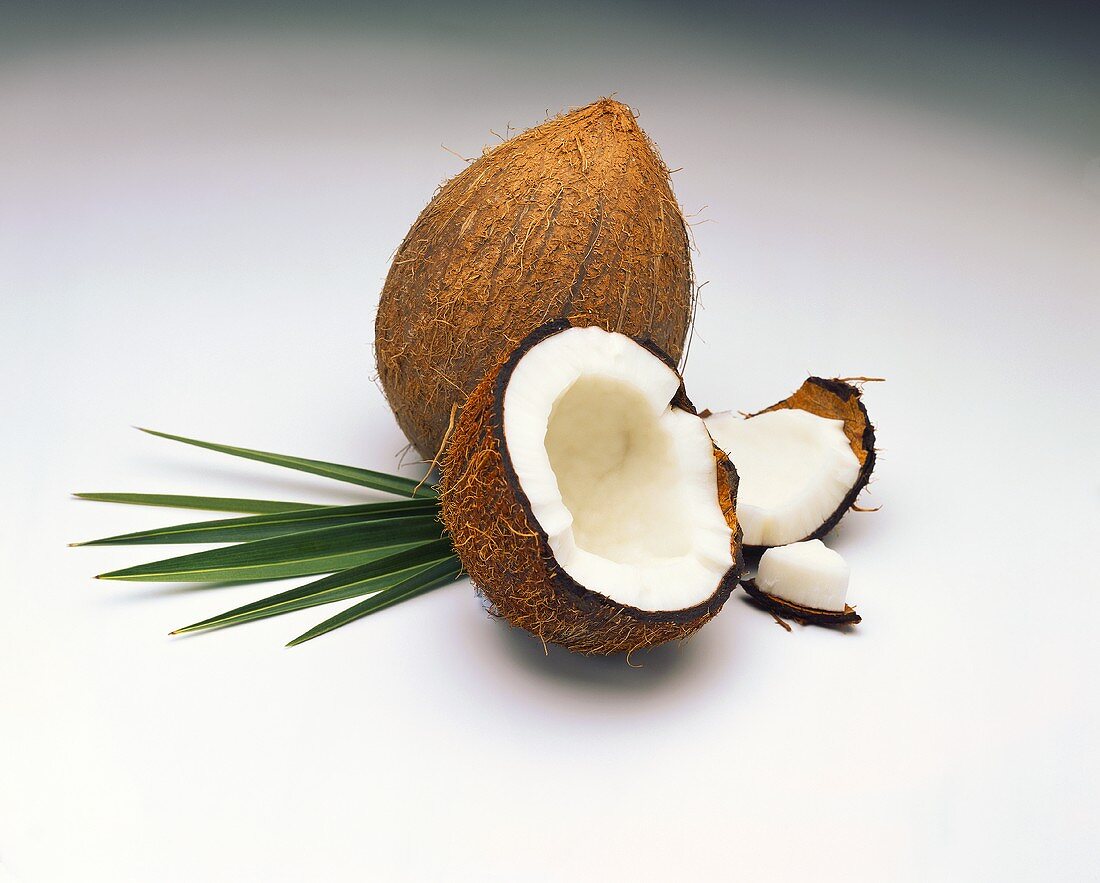 Whole and opened coconut
