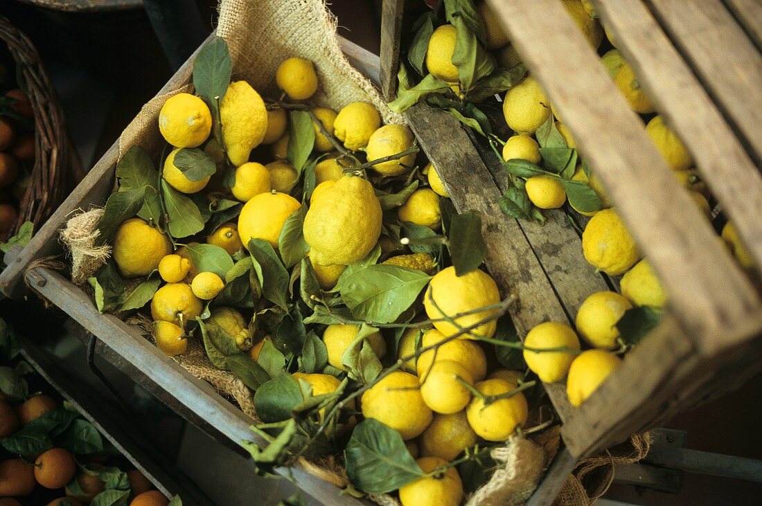 Lemons in crates