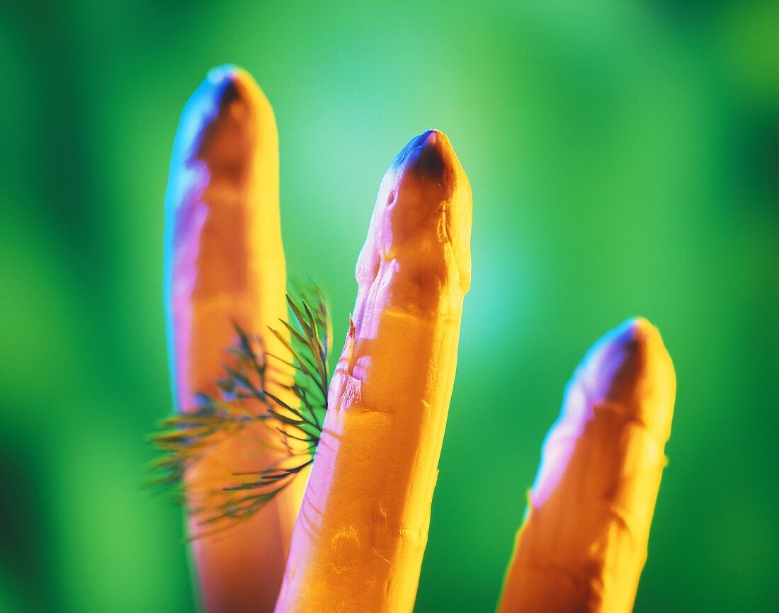 Asparagus spears against green background