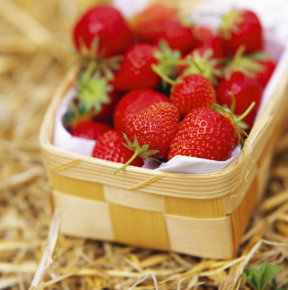 Frische Erdbeeren im Spankörbchen auf Stroh