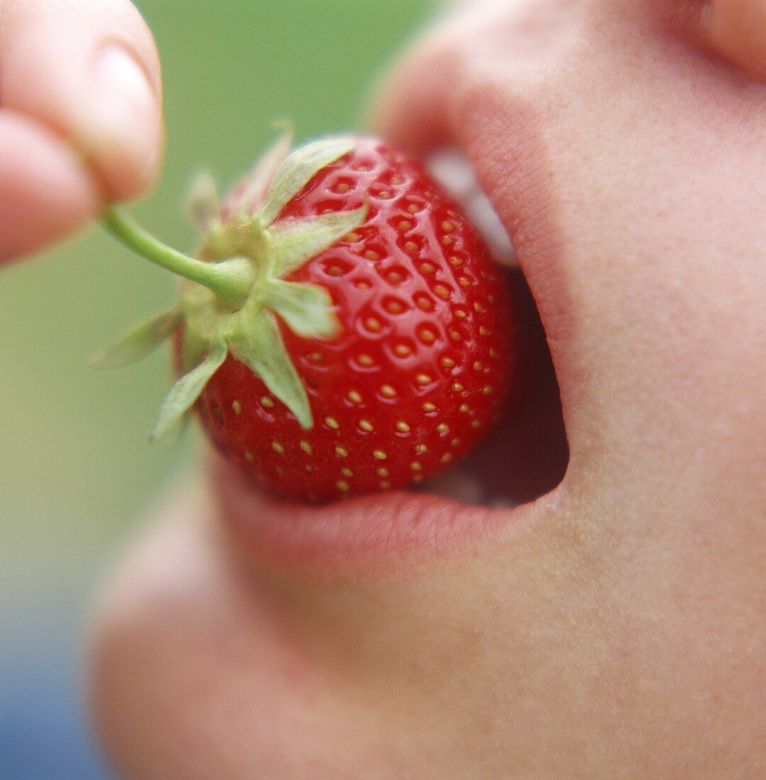 Girl biting into a strawberry