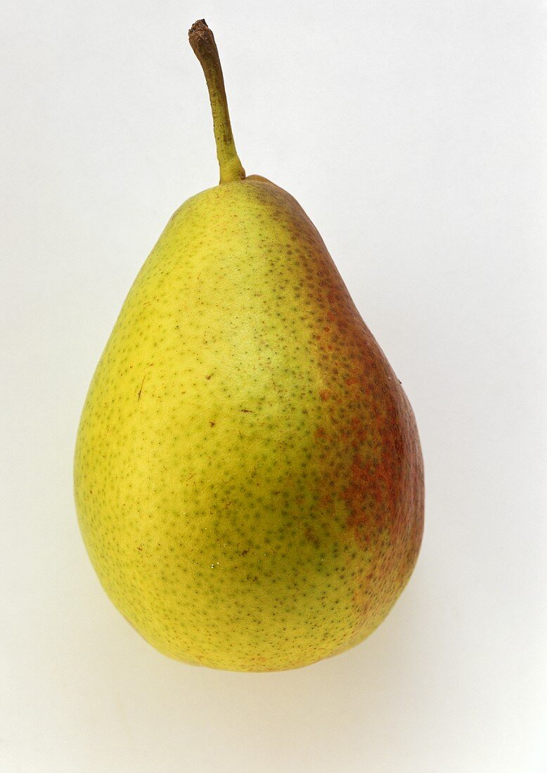 A Gute Luise pear