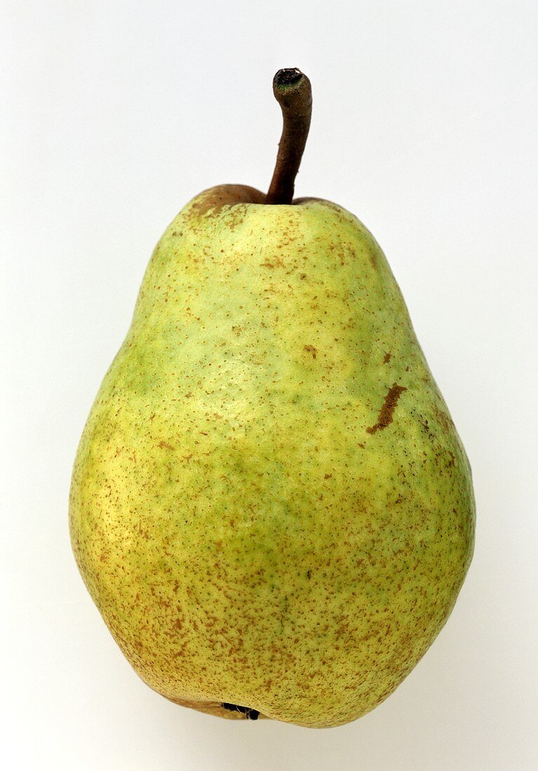 A Kaiser Alexander pear